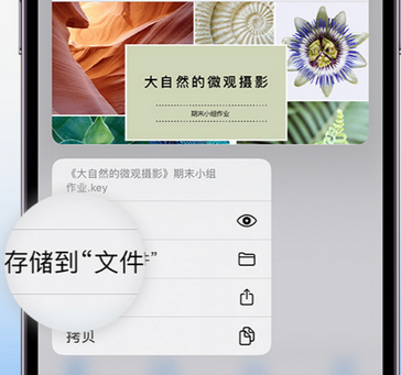 禄丰apple维修中心分享iPhone文件应用中存储和找到下载文件