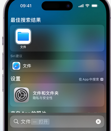 禄丰apple维修中心分享iPhone文件应用中存储和找到下载文件