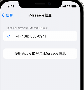 禄丰apple维修iPhone上无法正常发送iMessage信息 