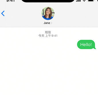 禄丰apple维修iPhone上无法正常发送iMessage信息