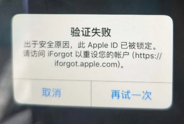 禄丰iPhone维修分享iPhone上正常登录或使用AppleID怎么办 