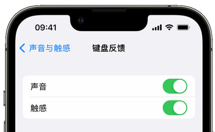 禄丰苹果手机维修分享iPhone 14触感键盘使用方法 