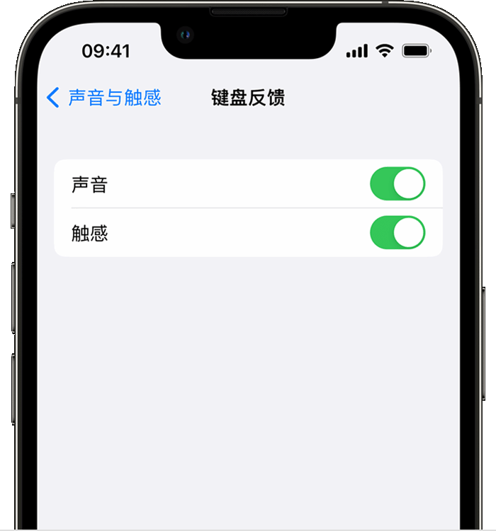 禄丰苹果14维修店分享如何在 iPhone 14 机型中使用触感键盘 