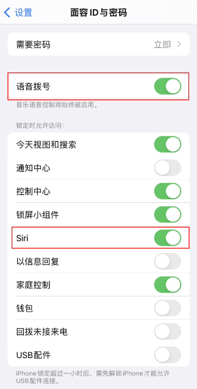 禄丰苹果维修网点分享不解锁 iPhone 的情况下通过 Siri 拨打电话的方法 