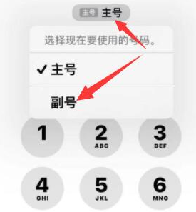 禄丰苹果14维修店分享iPhone 14 Pro Max使用副卡打电话的方法 