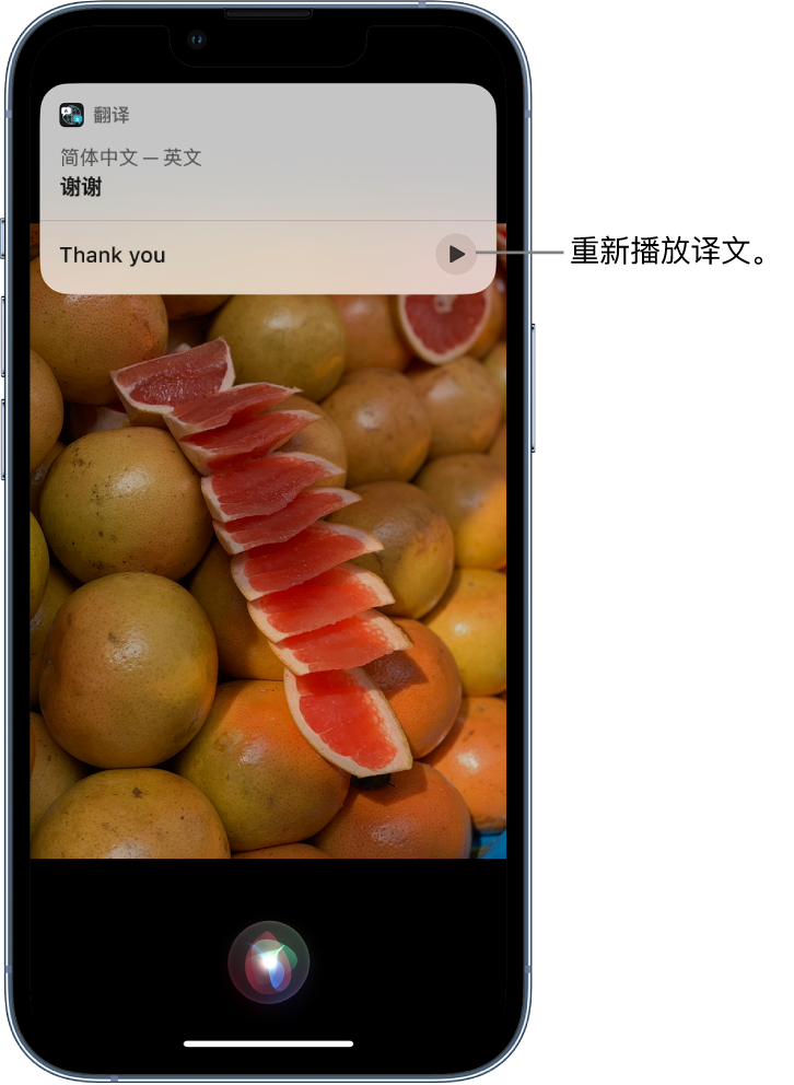 禄丰苹果14维修分享 iPhone 14 机型中使用 Siri：了解 Siri 能帮你做什么 