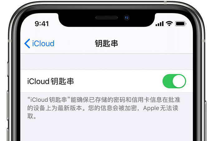 禄丰苹果手机维修分享在 iPhone 上开启 iCloud 钥匙串之后会储存哪些信息 