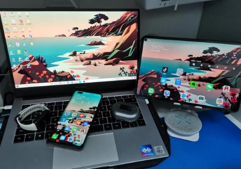 禄丰苹果手机维修分享为什么iPad屏幕更大价格却比iPhone低 