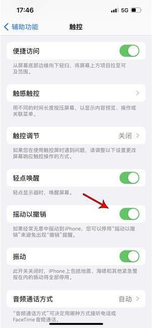 禄丰苹果手机维修分享iPhone手机如何设置摇一摇删除文字 